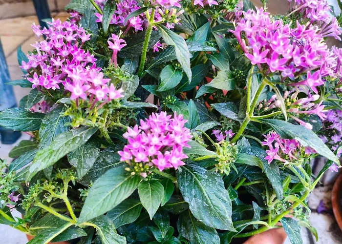 公寓 Restful House In