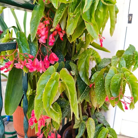 Restful House In Апартаменты *