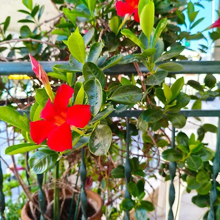 Апартаменты Restful House In *