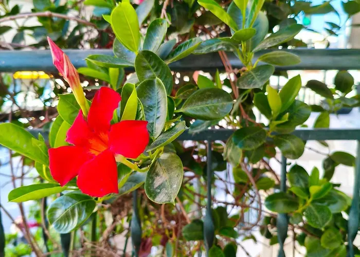 شقة Restful House In *